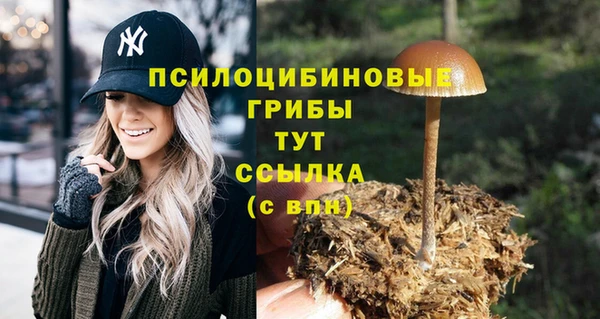 наркотики Алексин