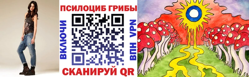 Галлюциногенные грибы Magic Shrooms Павловский Посад
